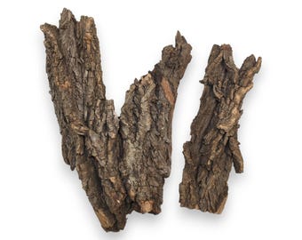 Large Natural Wood Bark for Rustic DIY Projects, Home Decor, or Unique Crafting Needs Untreated #004