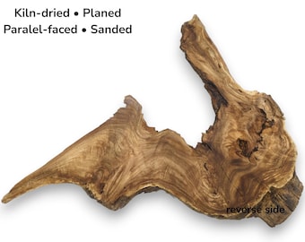 Japanese Pagoda Tree Root Wood Slice Natural Raw Edge Slab For Epoxy Resin Art #013