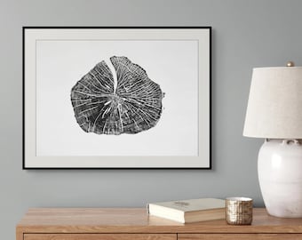 Art & Decor
