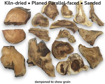 Assorted Small Wood Pieces, Natural Craft Wood, Rustic Wood Slices, Epoxy Resin Crafting Material, DIY Project Wood #015