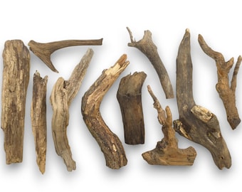 Weathered Old Forest Branches Natural Raw Wood Pieces Rustic Untreated Material For Custom Woodworking #047