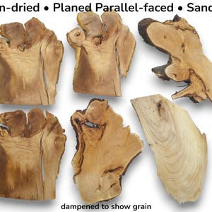 Cherry Alder Linden Root Wood Slice, Natural Live Edge Craft Wood, Pyrography Epoxy Resin Art Material #014
