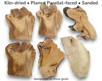 Cherry Alder Linden Root Wood Slice, Natural Live Edge Craft Wood, Pyrography Epoxy Resin Art Material #014