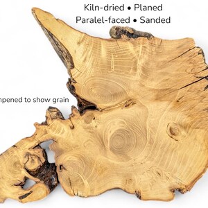 Live Edge Black Locust Root Wood Slice for Epoxy Resin Project or Natural Rustic Home Decor #9