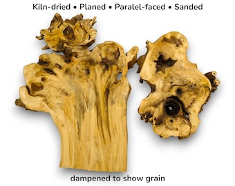 Raw Elderberry Burl Wood Slab Set For Epoxy Resin Wall Clock And Display Stand #001