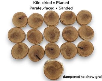 16 Pieces Natural Oak Wood Slices Small End Grain Tree Round Raw Blank Cookies #008