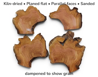Cherry Wood Slice Set, Thin Live Edge Wood, Craft Wood Pieces, Pyrography Blanks, Resin Art Supplies, Coaster Blanks #036
