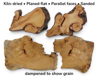 Linden Wood Thin Slices, Basswood Live Edge Slab, Natural Tree Bark Craft Wood, Rustic Epoxy Resin Art Material #025