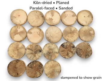 Set Of 18 Round Wood Slices Five Inch Crafting Tree Cookies Raw Material Blanks #006