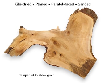 Raw Linden Tree Root Slab Live Edge Wood Slice Unique Shape Natural Burl Piece #023