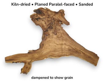 Japanese Pagoda Tree Root Wood Slice Natural Live Edge Slab Unique Grain Organic Shape #007