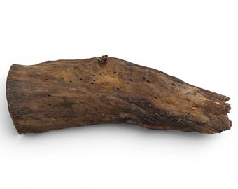 Rustiek stuk boshout, natuurlijk knutselmateriaal, unieke houtbewerkingsbenodigdheden, organisch woondecoratie-element #052