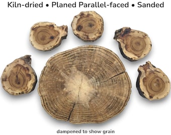 Rustic Wood Slice, Wood Cookies, Crafting Material, Epoxy Resin Art, Home Decor, DIY Project #009