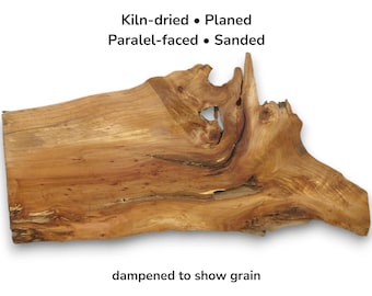 Natural Alder Tree Root Wood Slice Raw Edge Slab Blank For Woodworkers And Artists #007