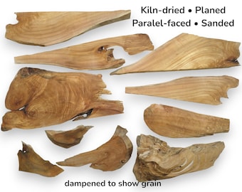 Piezas de madera de aliso, madera para artesanía con borde natural, pequeñas rodajas de madera cruda, material artístico de resina epoxi, decoración rústica para el hogar #010