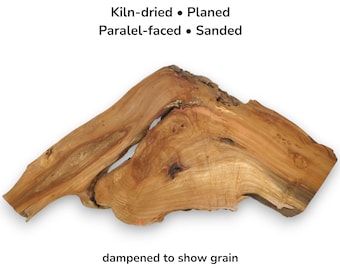 Natural Alder Live Edge Tree Wood Slice Raw Solid Slab With Unique Organic Shape #003