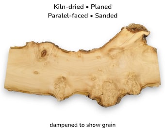 Natural Live Edge Maple Burl Wood Slab For Woodworking Beautiful Raw Crafting Piece #003