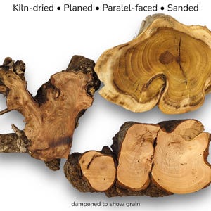 Mixed Raw Wood Slices, Live Edge Unfinished Pieces for Epoxy Resin Crafts, Mini Displays, Handmade Art Projects, Carving or Woodburning #001
