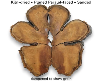 Wild Cherry Tree Wood Slice Broken Into Six Pieces Raw Live Edge Cross Section #023