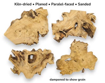 Rare Elderberry Root Wood Slices Four Piece Live Edge Natural Tree Slab Set Bundle #004