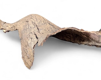 Bark