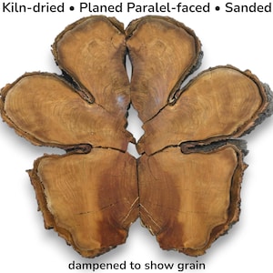 Wild Cherry Tree Wood Slice Broken Into Six Pieces Raw Live Edge Cross Section #023
