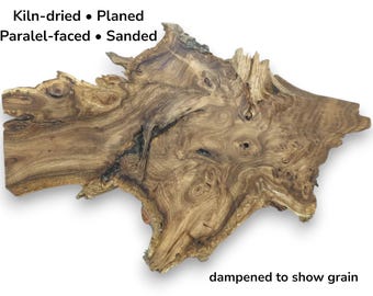 Japanese Pagoda Tree Root Wood Slice With Natural Live Edge And Highly Figured Grain #015