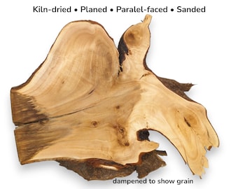 Natural Linden Tree Root Slab Live Edge Wood Slice Unfinished Raw Burl Cross Section #022