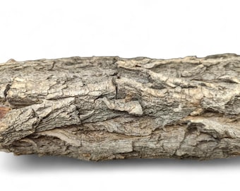 Bark