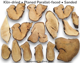 Pequeñas rodajas de madera de tilo, madera natural con borde irregular para artesanía, material rústico para carpintería, arte con resina epoxi, piezas en blanco para pirograbado #024