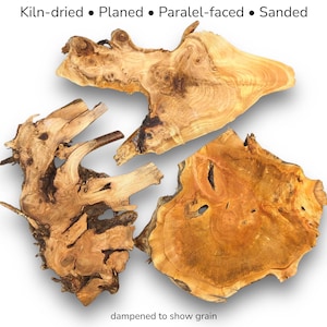 Mixed Raw Wood Slices, Live Edge Unfinished Pieces for Epoxy Resin Crafts, Mini Displays, Handmade Art Projects, Carving or Woodburning #002