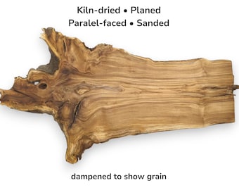 Large Pagoda Tree Raw Wood Slab Natural Live Edge Highly Figured Root Slice Piece #017