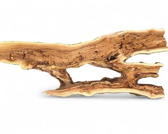 Natural Twin-Opening Driftwood Sculpture - Bark-Edged Split Log with Raw Interior Grain - Rustic Organic Wall or Shelf Decor #019