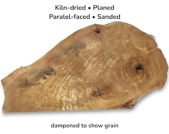 Rodajas de madera de raíz de aliso natural con borde irregular, losa en blanco para material de manualidades con resina #008