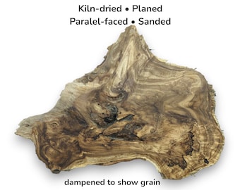 Japanese Pagoda Tree Root Wood Slices Live Edge Cross Section Figured Slab Blanks #012
