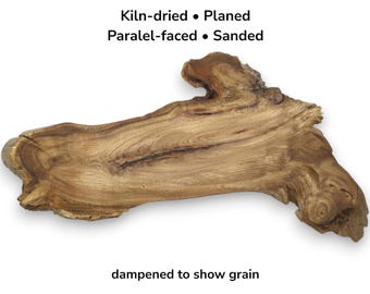 Japanese Pagoda Tree Wood Slice Live Edge Slab Natural Shape For Crafting And Carving #014