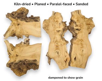 Four Piece Rare Elderberry Root Wood Slices With Natural Live Edge And Bark Inclusions #005