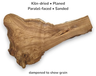 Figured Japanese Pagoda Tree Root Wood Slice Live Edge Natural Blank Slab For Crafts #008