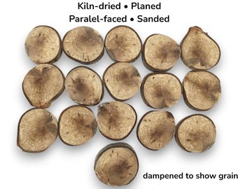 16 Pack Of Three Inch Round Partial Bark Tree Branch Wood Slices And Cookies #007