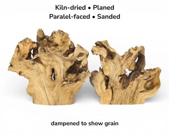 Natural Elderberry Wood Burl Slice Raw Live Edge Cross Section For Custom Woodworking Projects #003