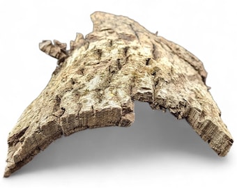 Bark