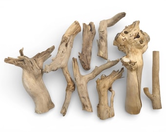 Branches de racine de sureau brutes, morceaux de bois naturel de style bois flotté pour le travail du bois sculptural, fournitures d'artisanat #044