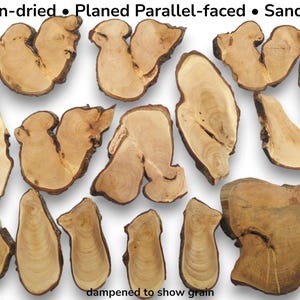 Kleine Lindenholzscheiben, naturbelassenes Bastelholz mit Baumkante, rustikales Holzbearbeitungsmaterial, Rohlinge für die Brandmalerei