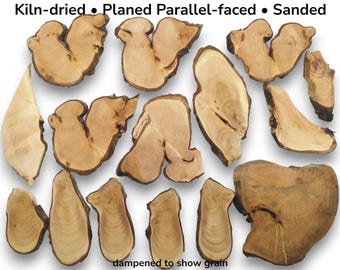 Small Linden Wood Slices, Natural Live Edge Craft Wood, Rustic Woodworking Material, Epoxy Resin Art, Pyrography Blanks #024