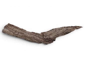 Long Natural Bark Piece, Rustic Craft Material, Organic Wall Art Decor, Plant Display Base #005