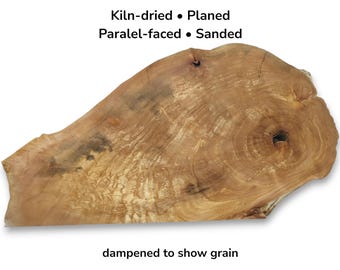 Fette di legno di radice di ontano naturale con bordo vivo, lastra grezza per lavori in resina #008