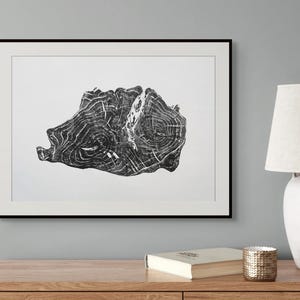 Könnte beinhalten: Ein gerahmter Schwarz-Weiß-Druck mit einer detaillierten Darstellung eines Holzmaserungs-Querschnitts. Das Kunstwerk zeigt die organischen, konzentrischen Ringe und strukturierten Muster einer Baumstammscheibe in einem kontrastreichen Stil.