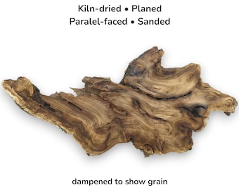 Japanese Pagoda Tree Root Wood Slice Live Edge Slab Unique Grain Raw Material #010