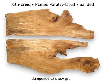 Rodajas de madera de raíz de aliso, dos tablones de madera con borde natural y forma orgánica #005