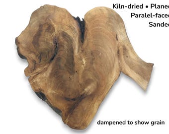 Rodaja de madera de raíz de nogal con vetas pronunciadas, borde sin tratar, corte transversal, pieza exótica en bruto n.° 034